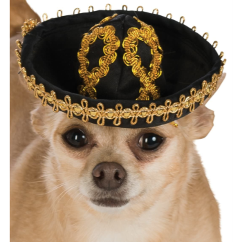 Image de SOMBRERO BLACK/GOLD - MEDIUM/LARGE