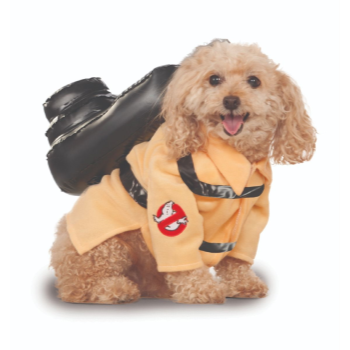 Picture of GHOSTBUSTER - SMALL