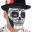 Picture of DAY OF THE DEAD MASK