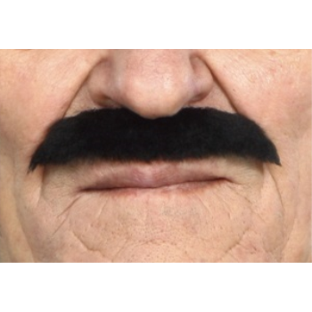 Image de MUSTACHE THIN STRAIGHT - BLACK