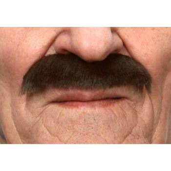 Image de MUSTACHE THIN STRAIGHT - BROWN