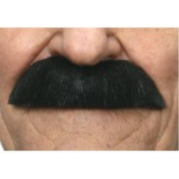 Image de MUSTACHE BUSHY - BLACK
