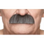 Picture of MUSTACHE BUSHY - DARK GREY