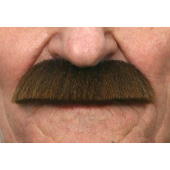 Image de MUSTACHE BUSHY - BROWN