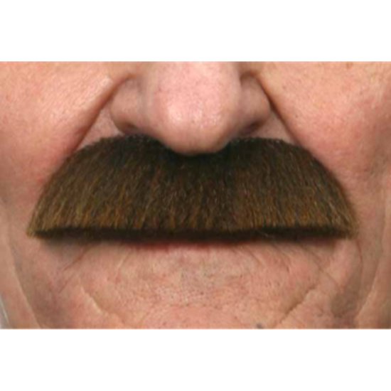 Image sur MUSTACHE BUSHY - BROWN