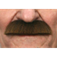 Image de MUSTACHE BUSHY - BROWN