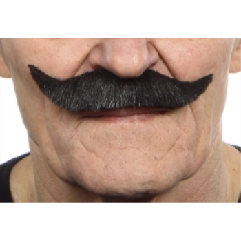 Image de MUSTACHE SMALL CURL - BLACK