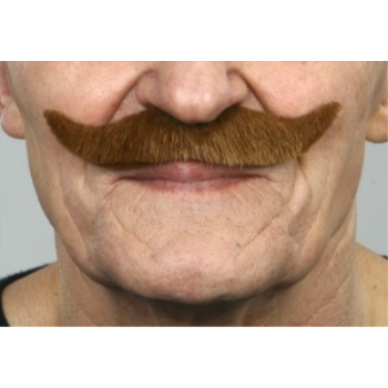Image de MUSTACHE SMALL CURL - AUBURN
