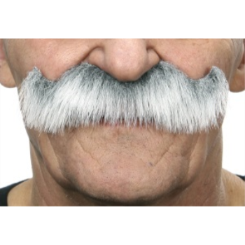 Image de MUSTACHE THICK CURL  - LIGHT GREY