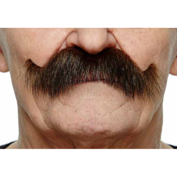 Image de MUSTACHE THICK CURL - BROWN