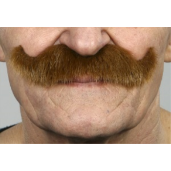 Image de MUSTACHE THICK CURL - AUBURN