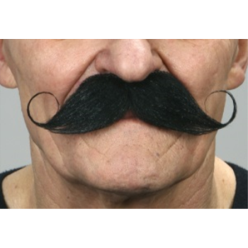 Image de MUSTACHE CURLY - BLACK