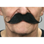 Picture of MUSTACHE CURLY - BLACK