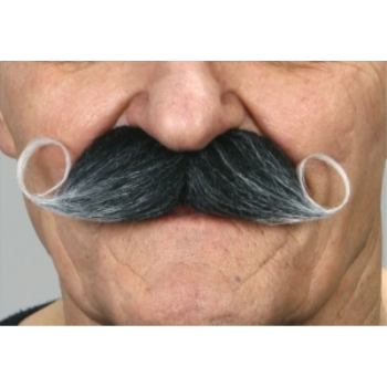 Image de MUSTACHE CURLY  - GREY