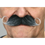Picture of MUSTACHE CURLY  - GREY