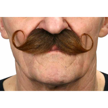 Image de MUSTACHE CURLY - BROWN