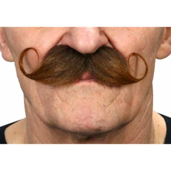Image sur MUSTACHE CURLY - BROWN