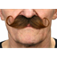 Picture of MUSTACHE CURLY - BROWN