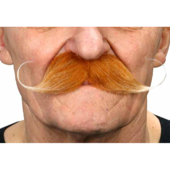 Image de MUSTACHE CURLY - AUBURN