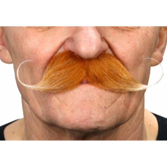 Image sur MUSTACHE CURLY - AUBURN
