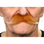Picture of MUSTACHE CURLY - AUBURN
