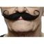 Image de MUSTACHE THIN CURLY - BLACK