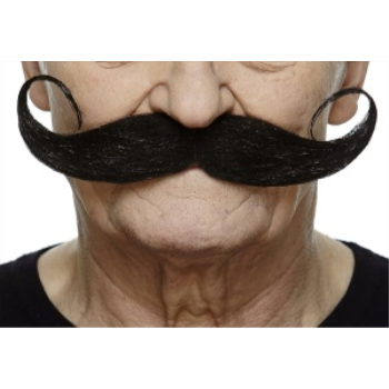 Image de MUSTACHE THICK CURLY - BLACK