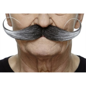 Image de MUSTACHE THICK CURLY  - GREY