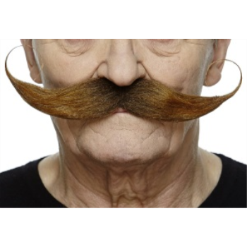 Image de MUSTACHE THICK CURLY - AUBURN