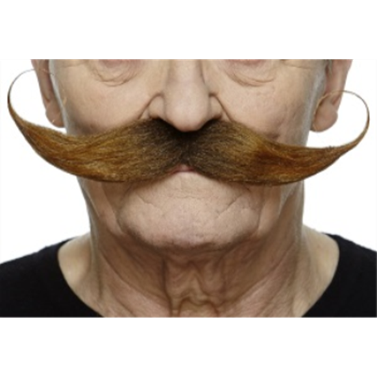 Picture of MUSTACHE THICK CURLY - AUBURN