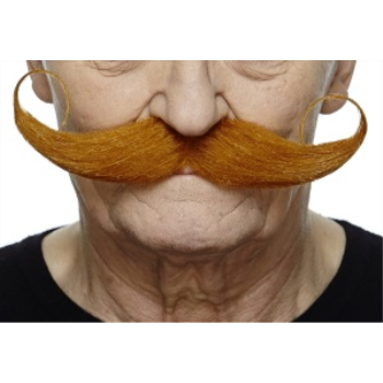 Image de MUSTACHE THICK CURLY - BROWN