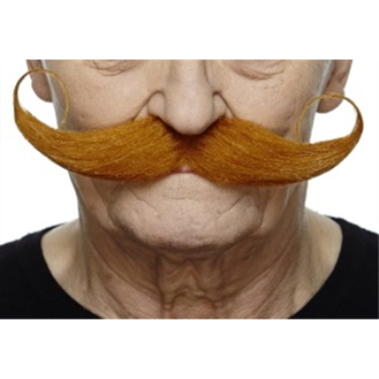 Picture of MUSTACHE THICK CURLY - BROWN