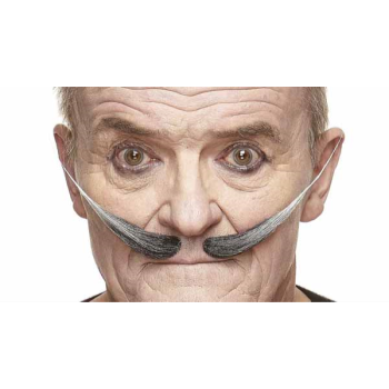 Image de MUSTACHE STRAIGHT UP - GREY