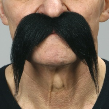 Image de MUSTACHE STRAIGHT DOWN - BLACK