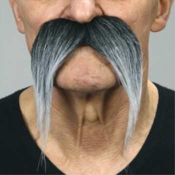 Image de MUSTACHE STRAIGHT DOWN  - GREY