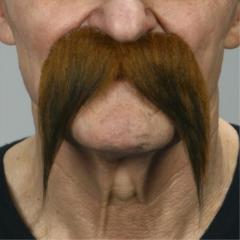 Image de MUSTACHE STRAIGHT DOWN  - AUBURN