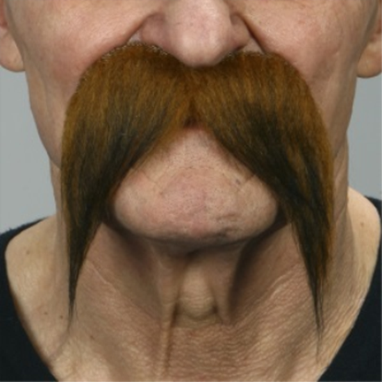 Image sur MUSTACHE STRAIGHT DOWN  - AUBURN