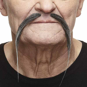 Image de MUSTACHE THIN - GREY