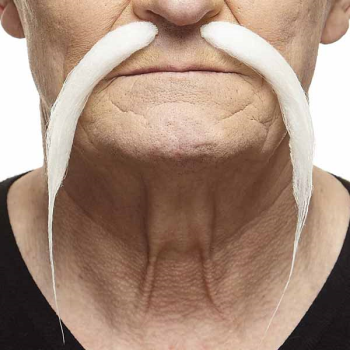 Image de MUSTACHE THIN - WHITE