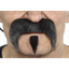 Image de MUSTACHE AND SMALL POINTY PINCH - BLACK