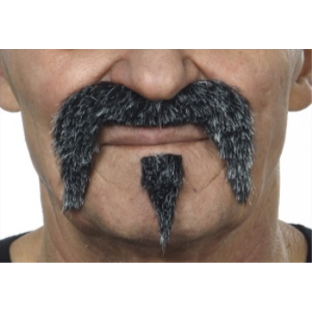 Image de MUSTACHE AND SMALL POINTY PINCH - GREY