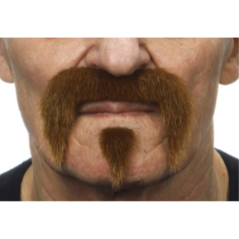 Image de MUSTACHE AND SMALL POINTY PINCH - AUBURN