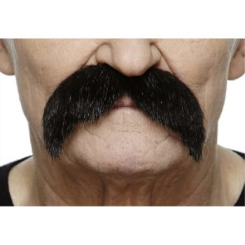 Image de MUSTACHE BUSHY - BLACK