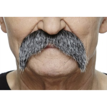 Image de MUSTACHE BUSHY - GREY