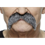 Picture of MUSTACHE BUSHY - GREY