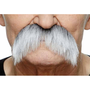 Image de MUSTACHE BUSHY - LIGHT GREY