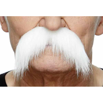 Image de MUSTACHE BUSHY - WHITE