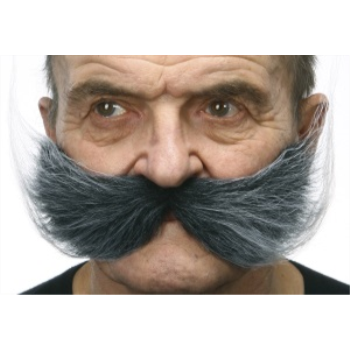 Image de MUSTACHE OVERSIZE  - GREY