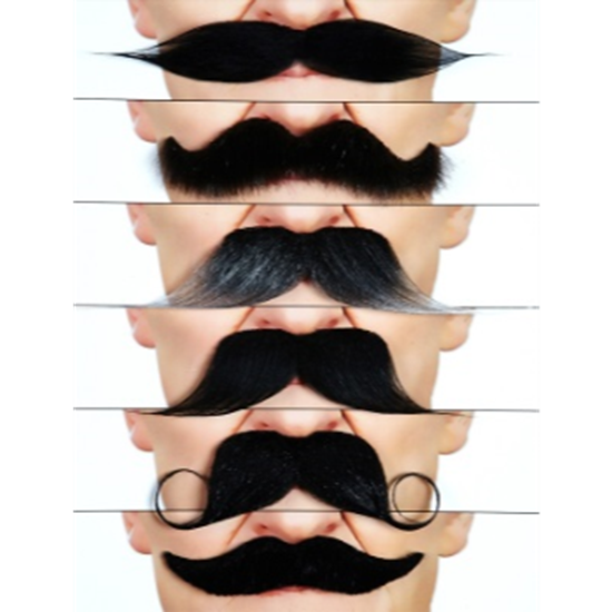 Image sur MUSTACHES PARTY MIX 