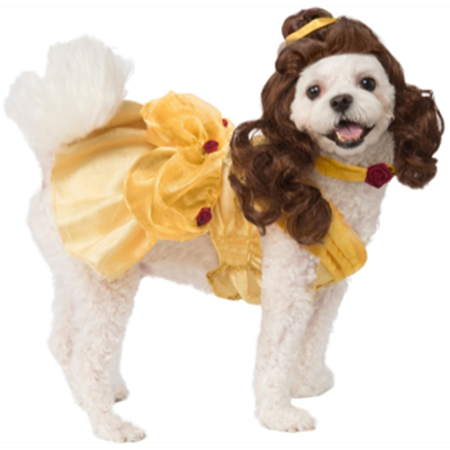 Picture for category COSTUMES - Pets